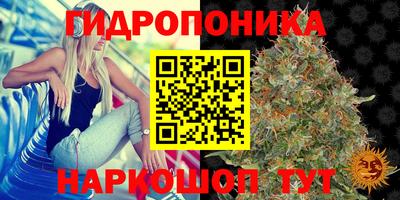тгк Краснодар