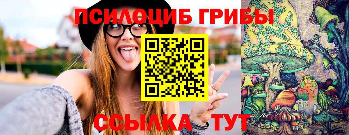 Камышин  Галлюциногенные грибы Magic Shrooms  Вход с VPN  Галлюциногенные грибы Psilocybine cubensis 